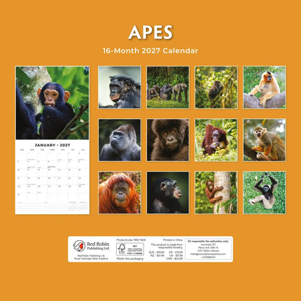 Red Robin Apen Kalender 2027
