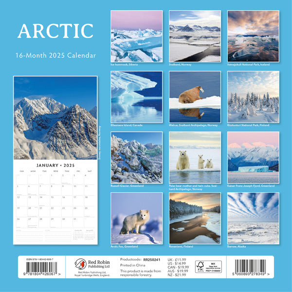Red Robin Arctic Kalender 2025