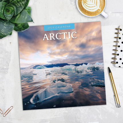 Red Robin Arctic Kalender 2025