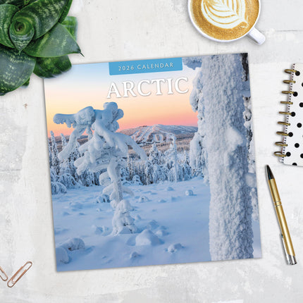 Red Robin Arctic Kalender 2026