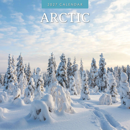 Red Robin Arctic Kalender 2027