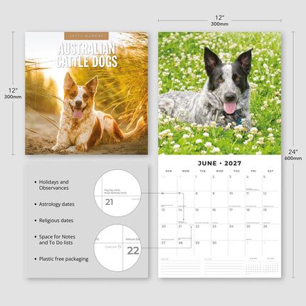 Red Robin Australian Cattle Dog Kalender 2027