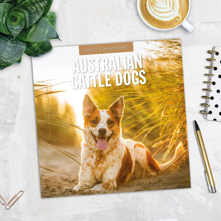 Red Robin Australian Cattle Dog Kalender 2027
