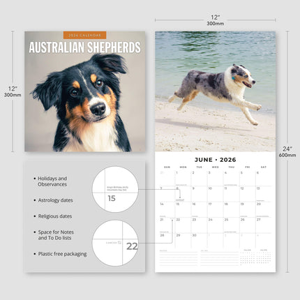 Red Robin Australian Shepherd Kalender 2026