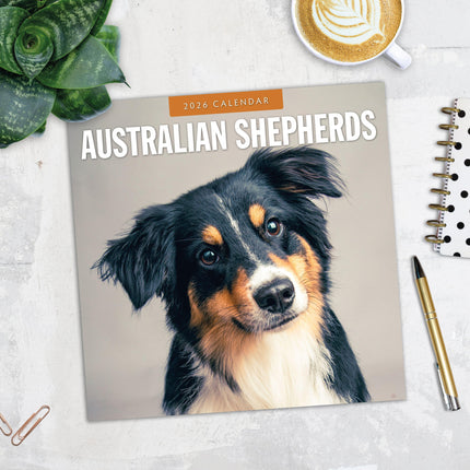 Red Robin Australian Shepherd Kalender 2026