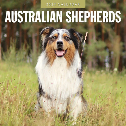 Red Robin Australian Shepherd Kalender 2027