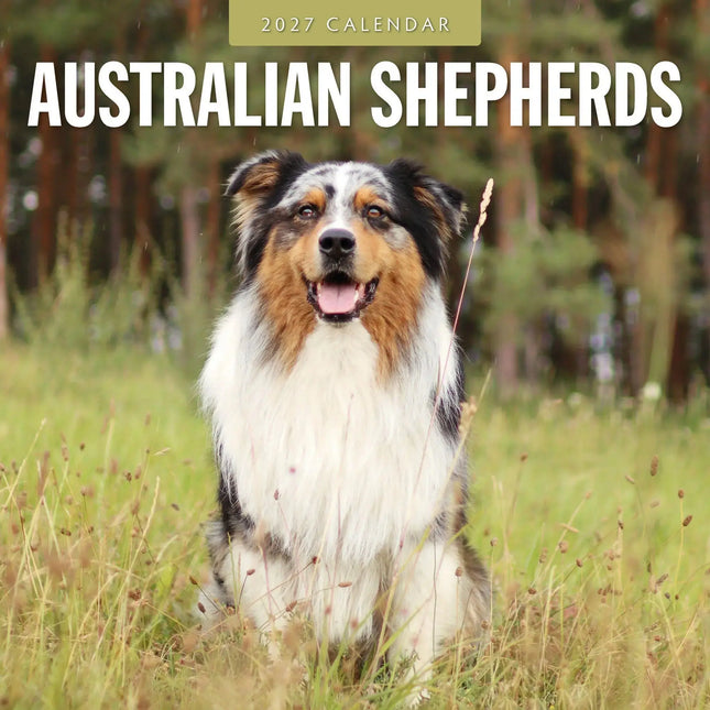 Red Robin Australian Shepherd Kalender 2027