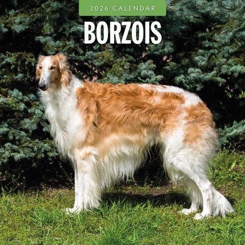 Red Robin Barzoi Kalender 2026