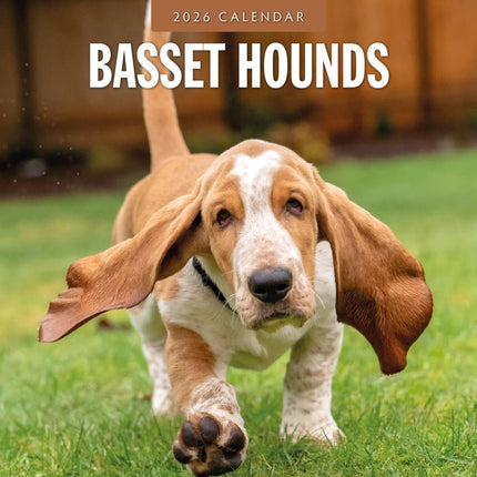 Red Robin Basset Hound Kalender 2026