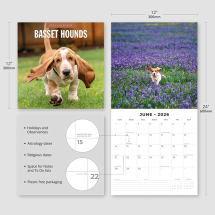 Red Robin Basset Hound Kalender 2026
