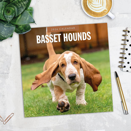 Red Robin Basset Hound Kalender 2026