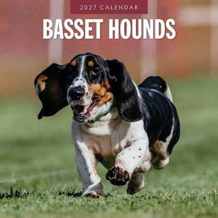 Red Robin Basset Hound Kalender 2027