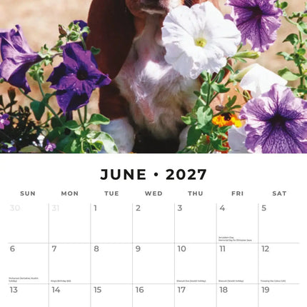 Red Robin Basset Hound Kalender 2027