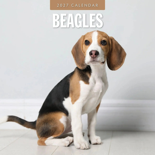 Red Robin Beagle Kalender 2027