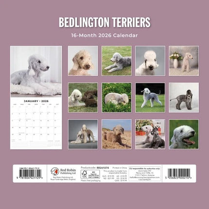 Red Robin Bedlington Terrier Kalender 2026