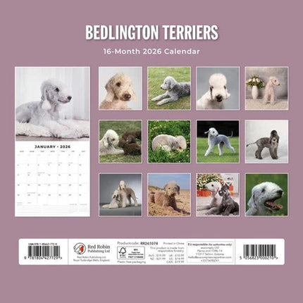 Red Robin Bedlington Terrier Kalender 2026