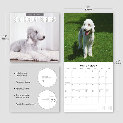 Red Robin Bedlington Terrier Kalender 2027