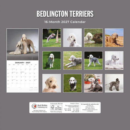 Red Robin Bedlington Terrier Kalender 2027