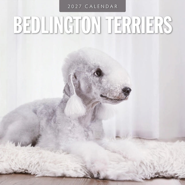 Red Robin Bedlington Terrier Kalender 2027