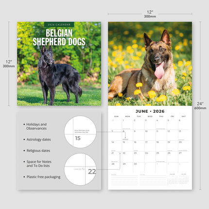 Red Robin Belgische Herder Kalender 2026