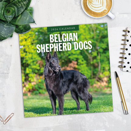 Red Robin Belgische Herder Kalender 2026