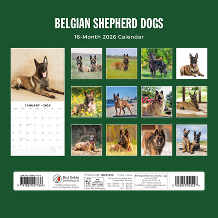 Red Robin Belgische Herder Kalender 2026