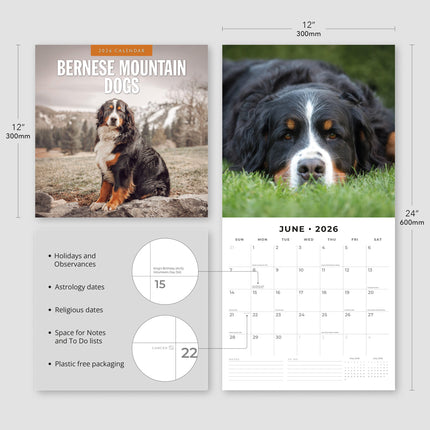 Red Robin Berner Sennen Kalender 2026