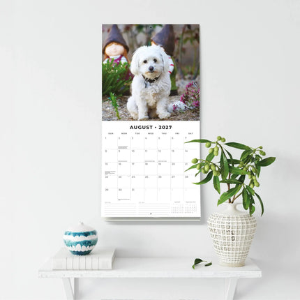 Red Robin Bichon Frise Kalender 2027
