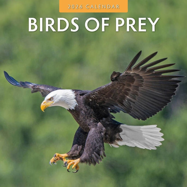 Red Robin Birds Of Prey Kalender 2026