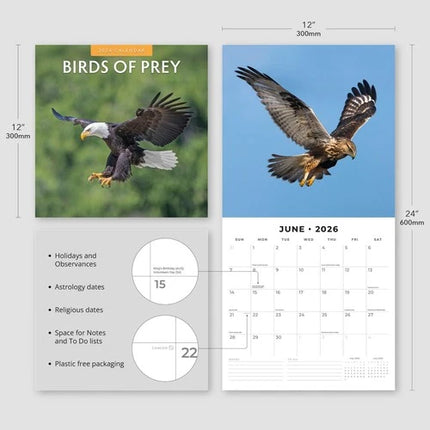 Red Robin Birds Of Prey Kalender 2026