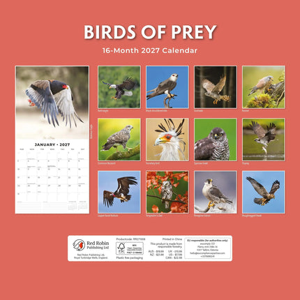 Red Robin Birds Of Prey Kalender 2027