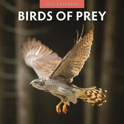 Red Robin Birds Of Prey Kalender 2027