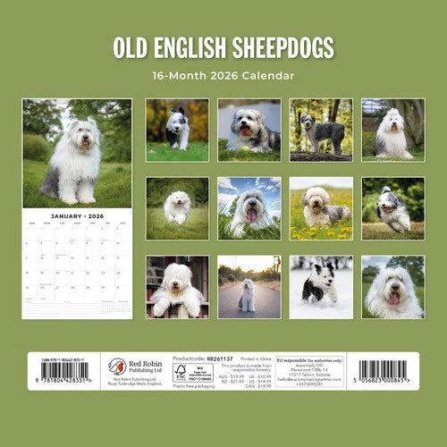 Red Robin Bobtail / Old English Sheepdog Kalender 2026
