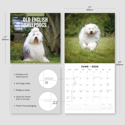 Red Robin Bobtail / Old English Sheepdog Kalender 2026