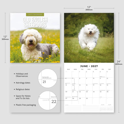 Red Robin Bobtail / Old English Sheepdog Kalender 2027