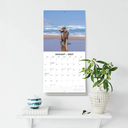Red Robin Bobtail / Old English Sheepdog Kalender 2027
