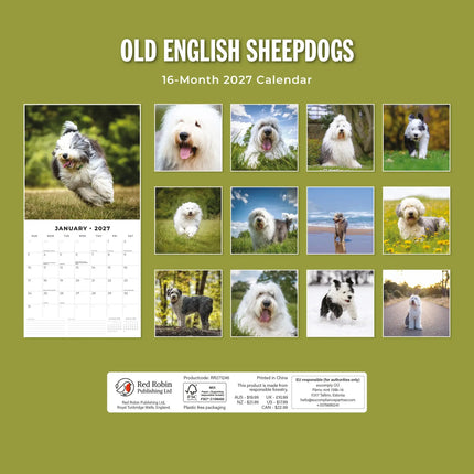 Red Robin Bobtail / Old English Sheepdog Kalender 2027