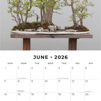 Red Robin Bonsai Kalender 2026