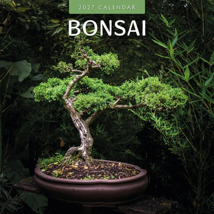 Red Robin Bonsai Kalender 2027