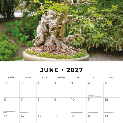Red Robin Bonsai Kalender 2027
