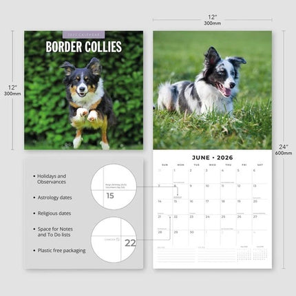 Red Robin Border Collie Kalender 2026