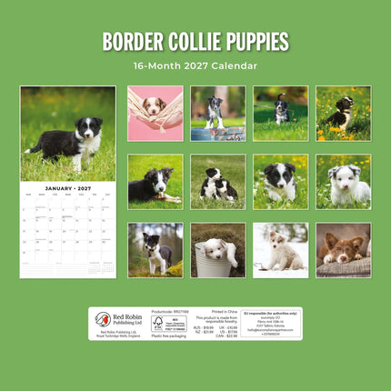 Red Robin Border Collie Puppies Kalender 2027