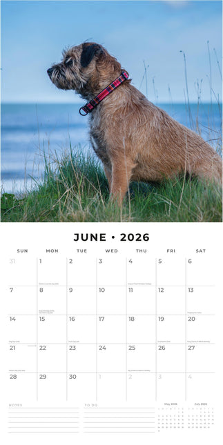 Red Robin Border Terrier Kalender 2026