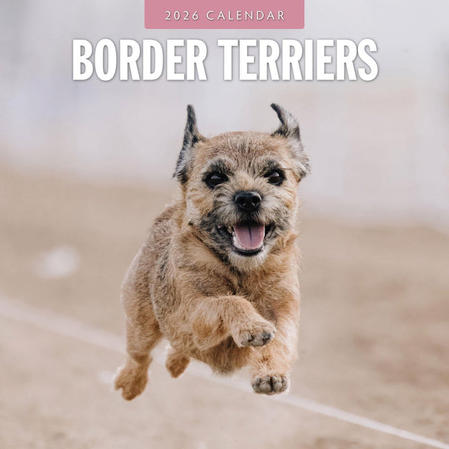 Red Robin Border Terrier Kalender 2026