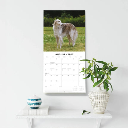Red Robin Borzois Kalender 2027