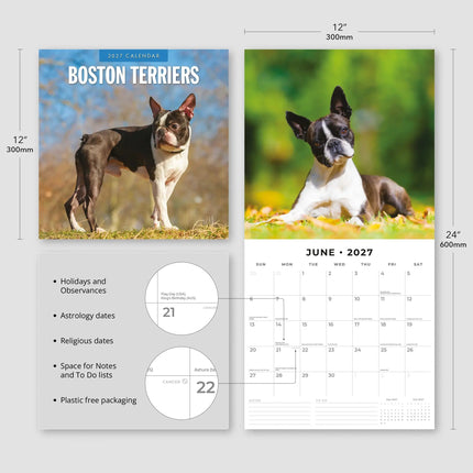 Red Robin Boston Terrier Kalender 2027