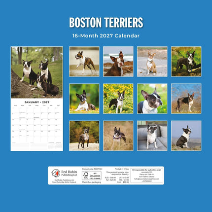 Red Robin Boston Terrier Kalender 2027