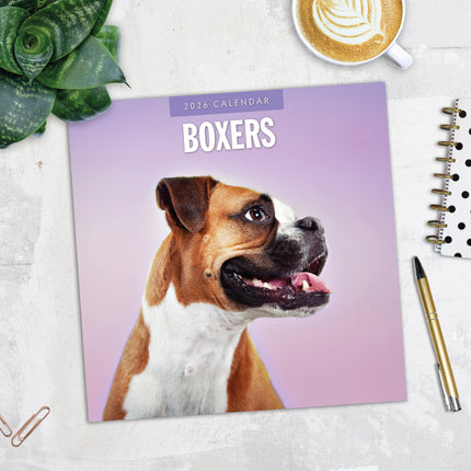 Red Robin Boxer Kalender 2026