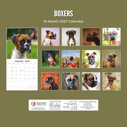 Red Robin Boxer Kalender 2027