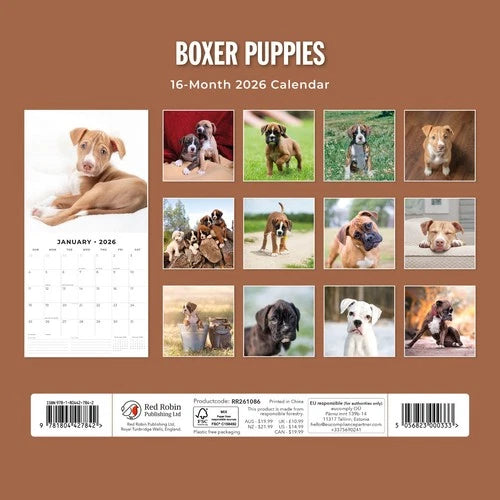 Red Robin Boxer Puppies Kalender 2026